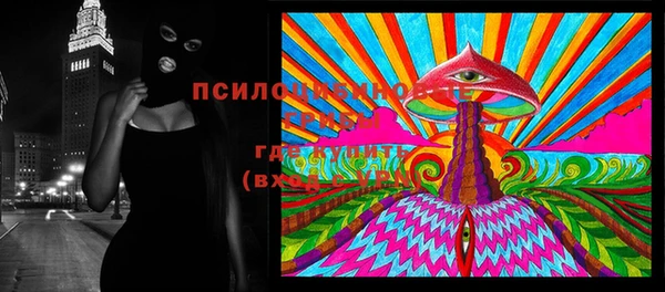 дживик Приозерск