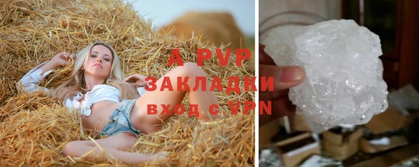 прущие грибы Абдулино
